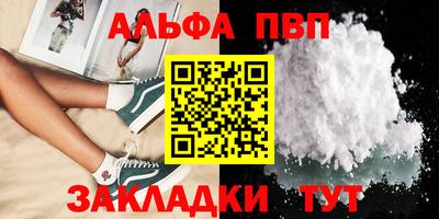ешки Кингисепп