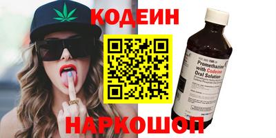 ешки Кингисепп