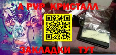 ешки Кингисепп